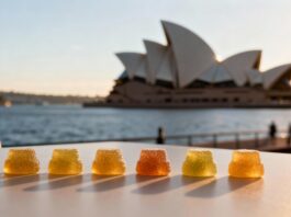 Preserving Therapeutic Access: The Rules for Travelling with THC Edibles THC gummies